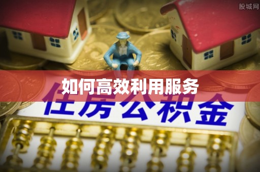 阿荣旗如何高效利用服务